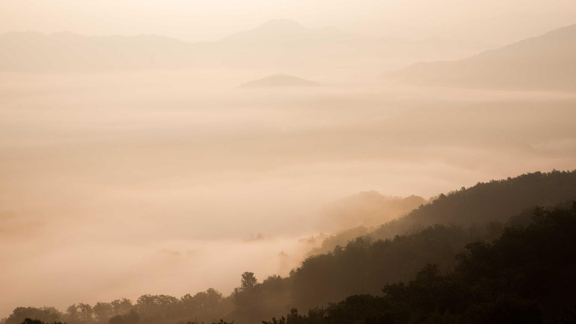 MasterDC Construct and Supply